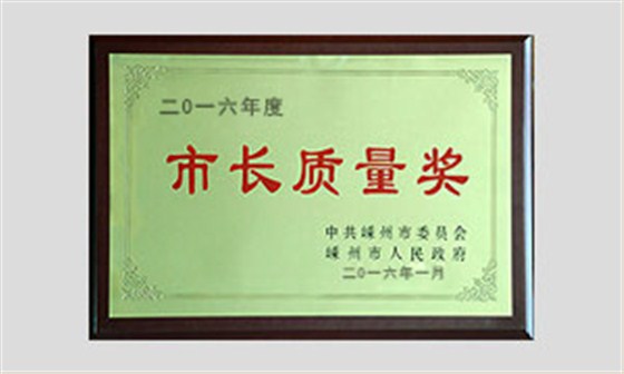 市長(zhǎng)質(zhì)量獎(jiǎng)